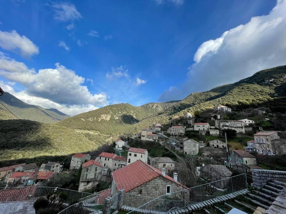 Casa Arena Authentique Maison De Village Avec Piscine Au Coeur De L'Alta Rocca - Zoza מראה חיצוני תמונה
