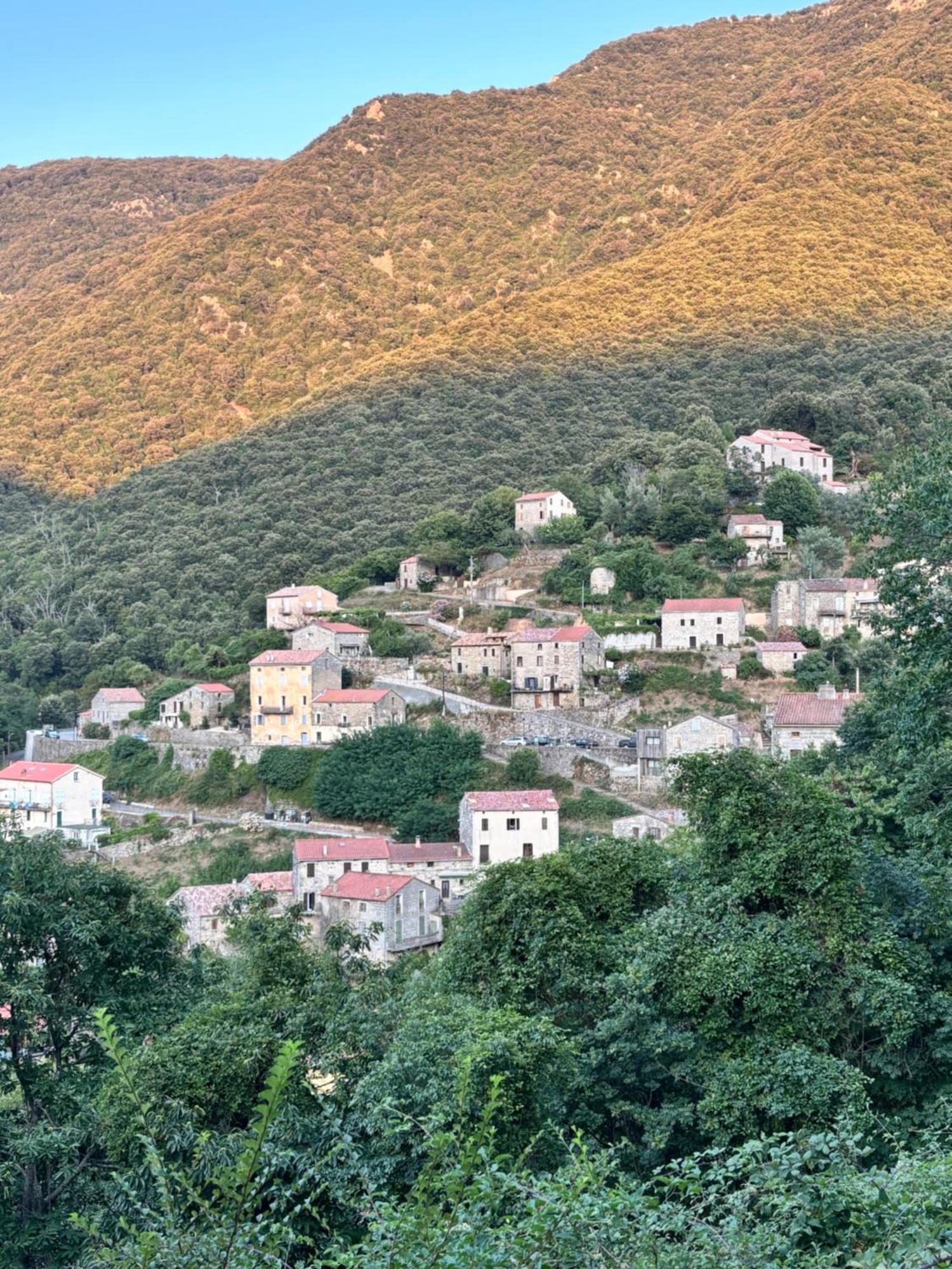 Casa Arena Authentique Maison De Village Avec Piscine Au Coeur De L'Alta Rocca - Zoza מראה חיצוני תמונה